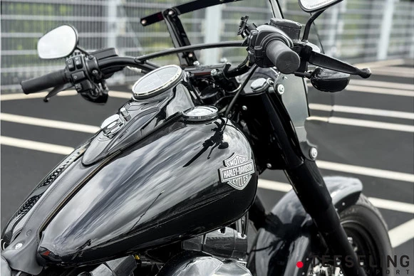 Harley-Davidson Softail - Afbeelding 7 van 20