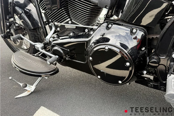 Harley-Davidson Softail - Afbeelding 11 van 20