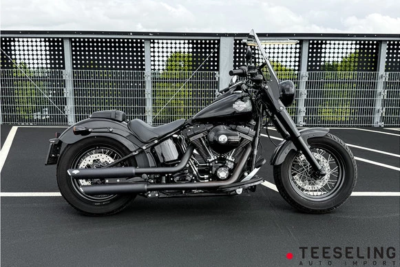 Harley-Davidson Softail - Afbeelding 19 van 20