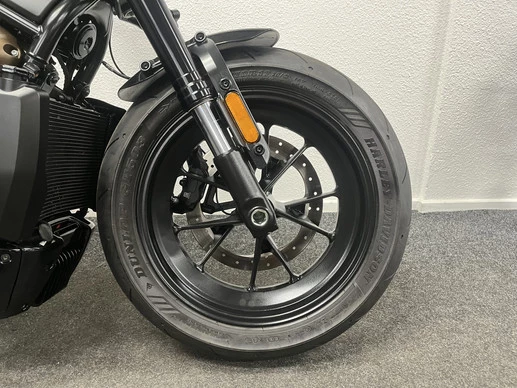 Harley-Davidson Sportster - Afbeelding 4 van 20