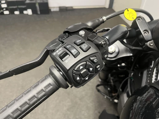Harley-Davidson Sportster - Afbeelding 19 van 20