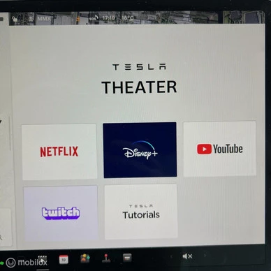 Tesla Model Y - Afbeelding 15 van 21
