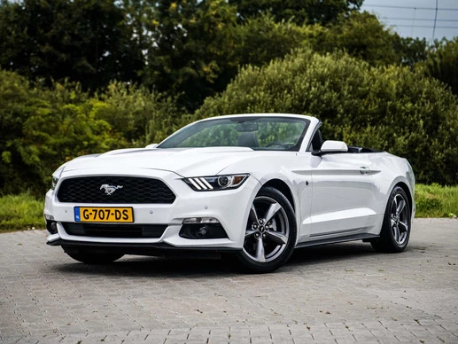 Ford Mustang - Afbeelding 1 van 30