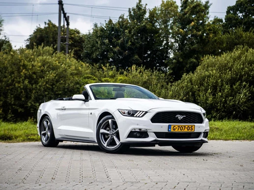 Ford Mustang - Afbeelding 2 van 30