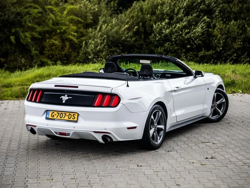Ford Mustang - Afbeelding 3 van 30