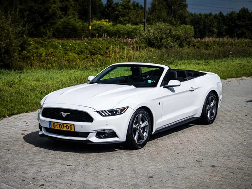 Ford Mustang - Afbeelding 11 van 30