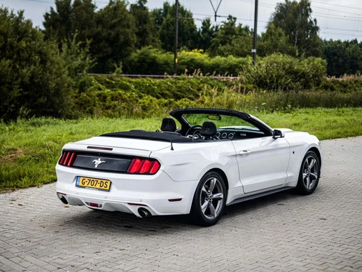 Ford Mustang - Afbeelding 13 van 30
