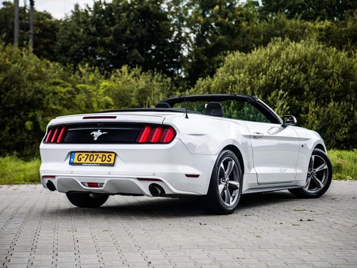 Ford Mustang - Afbeelding 14 van 30