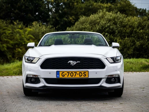 Ford Mustang - Afbeelding 15 van 30