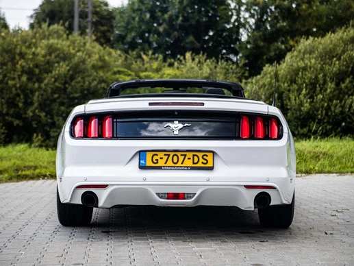 Ford Mustang - Afbeelding 16 van 30