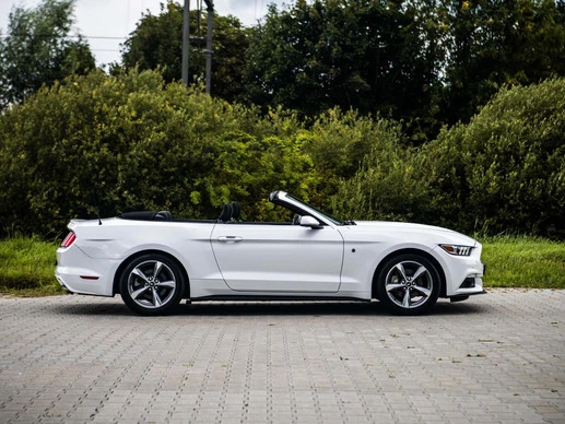 Ford Mustang - Afbeelding 17 van 30