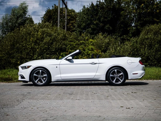 Ford Mustang - Afbeelding 18 van 30