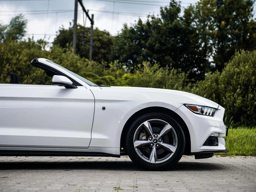 Ford Mustang - Afbeelding 20 van 30