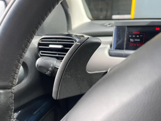 Citroën C4 Cactus - Afbeelding 17 van 30