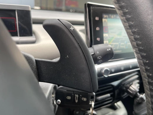 Citroën C4 Cactus - Afbeelding 21 van 30