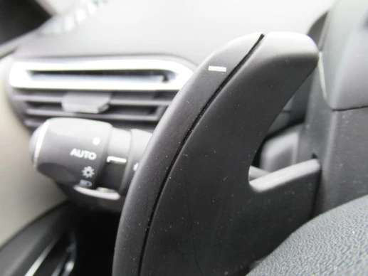 Citroën Grand C4 Picasso - Afbeelding 30 van 30