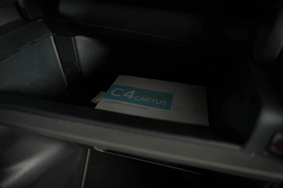 Citroën C4 Cactus - Afbeelding 18 van 30