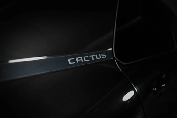 Citroën C4 Cactus - Afbeelding 28 van 30