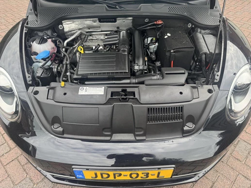 Volkswagen Beetle - Afbeelding 24 van 27
