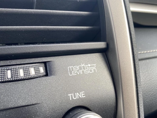 Lexus RX - Afbeelding 21 van 30