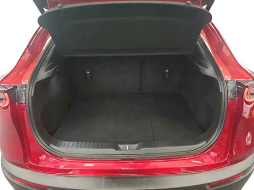 Mazda CX-30 - Afbeelding 9 van 30