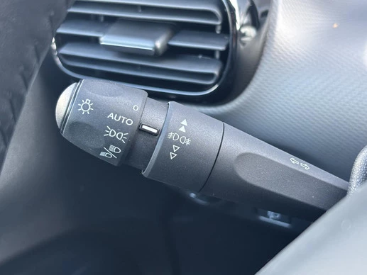 Citroën C4 Cactus - Afbeelding 15 van 25