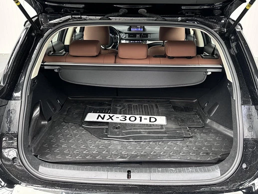 Lexus CT - Afbeelding 18 van 24