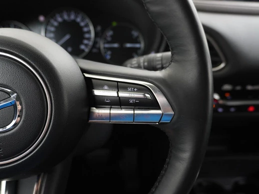 Mazda CX-30 - Afbeelding 19 van 25