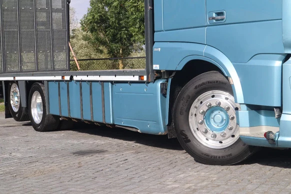 DAF XF 460 - Afbeelding 12 van 21