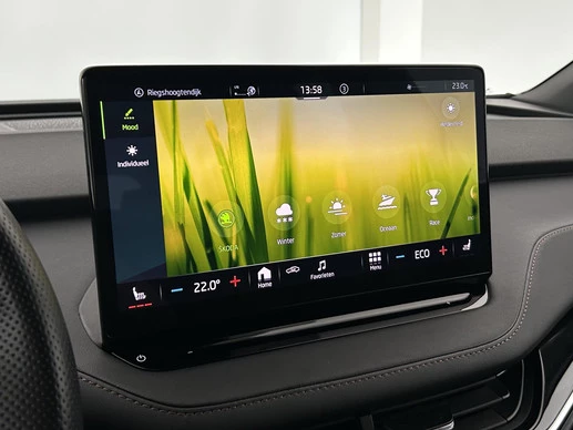 Škoda Enyaq iV - Afbeelding 29 van 30