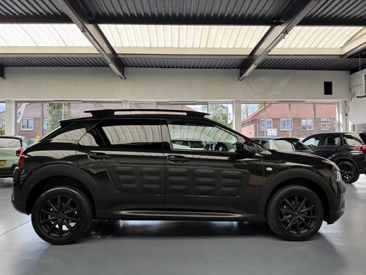 Citroën C4 Cactus - Afbeelding 18 van 30