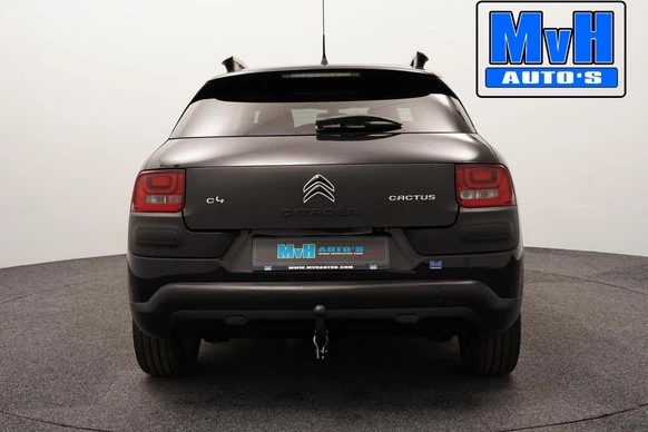Citroën C4 Cactus - Afbeelding 16 van 30