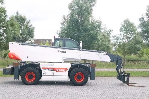 Bobcat  - Afbeelding 4 van 20
