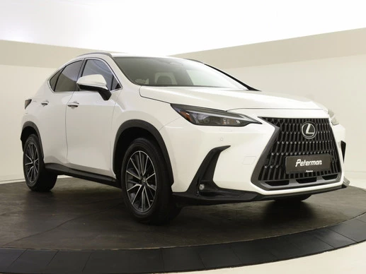 Lexus NX - Afbeelding 1 van 30