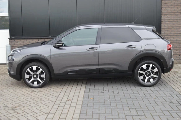 Citroën C4 Cactus - Afbeelding 14 van 30