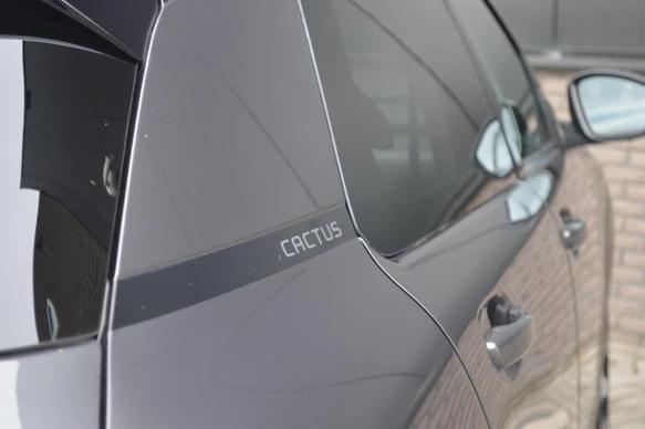 Citroën C4 Cactus - Afbeelding 16 van 30