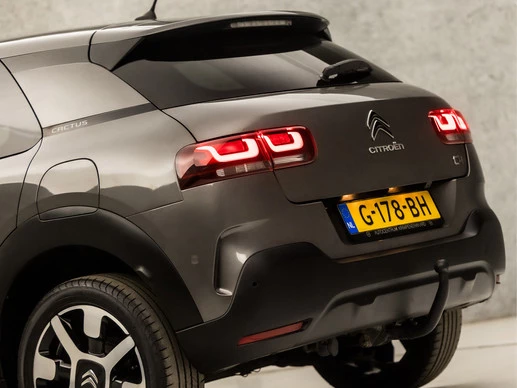 Citroën C4 Cactus - Afbeelding 10 van 30
