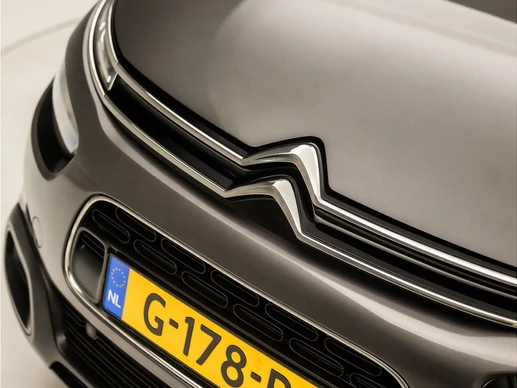Citroën C4 Cactus - Afbeelding 30 van 30