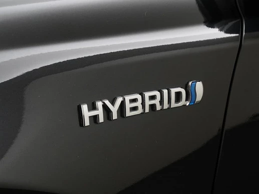Toyota RAV4 - Afbeelding 18 van 30