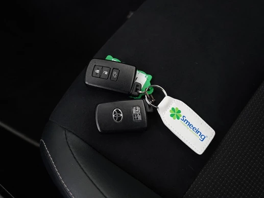 Toyota RAV4 - Afbeelding 30 van 30