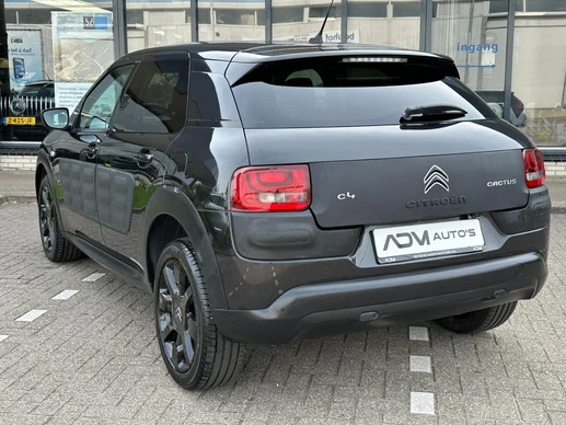 Citroën C4 Cactus - Afbeelding 16 van 21
