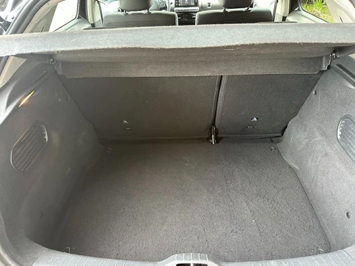 Citroën C4 Cactus - Afbeelding 21 van 21