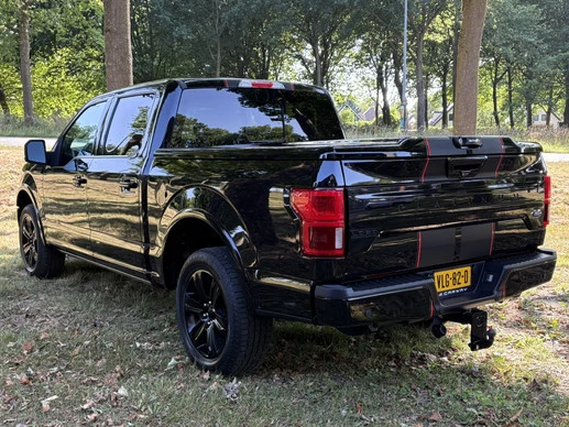 Ford F-150 - Afbeelding 6 van 19