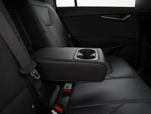 Kia Niro EV - Afbeelding 29 van 30