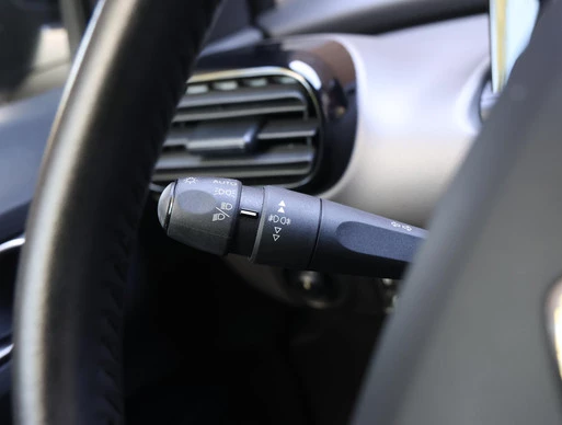 Citroën C4 Cactus - Afbeelding 26 van 30