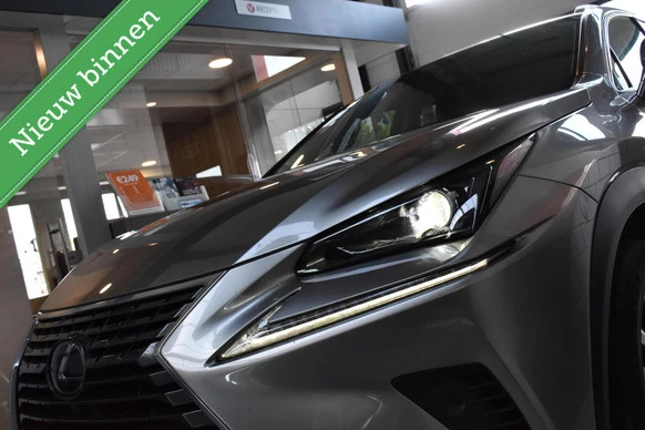 Lexus NX - Afbeelding 18 van 30