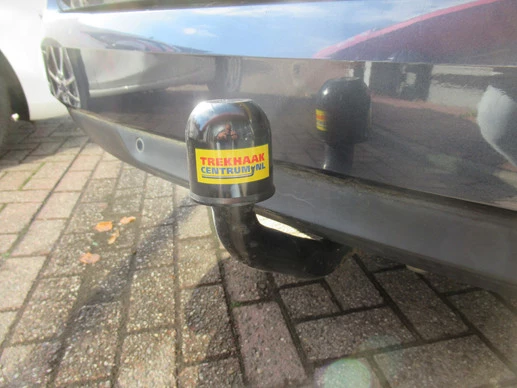 Renault Mégane Estate - Afbeelding 8 van 30