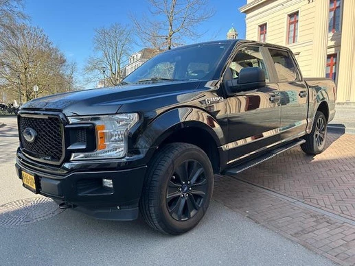 Ford F-150 - Afbeelding 1 van 23