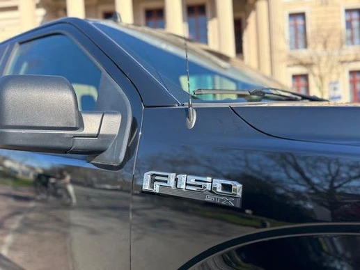 Ford F-150 - Afbeelding 4 van 23