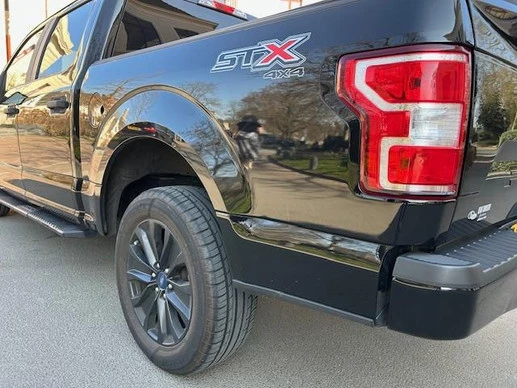 Ford F-150 - Afbeelding 11 van 23
